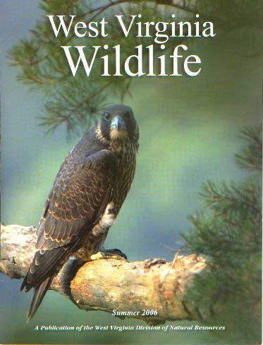 wv-wildlife-cover---small